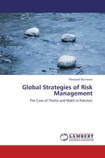 Global Strategies of Risk Management