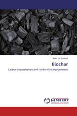 Biochar