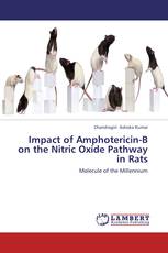 Impact of Amphotericin-B on the Nitric Oxide Pathway in Rats