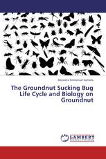 The Groundnut Sucking Bug Life Cycle and Biology on Groundnut
