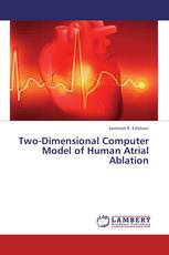 Two-Dimensional Computer Model of Human Atrial Ablation