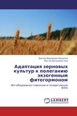 Адаптация зерновых культур к полеганию экзогенным фитогормоном
