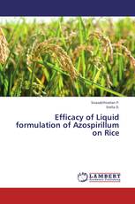 Efficacy of Liquid formulation of Azospirillum on Rice