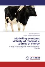 Modelling economic viability of renewable sources of energy