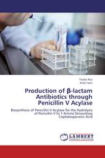 Production of β-lactam Antibiotics through Penicillin V Acylase