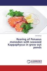 Rearing of Penaeus monodon with seaweed Kappaphycus in grow out ponds