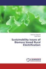 Sustainability Issues of Biomass based Rural Electrification