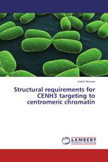 Structural requirements for CENH3 targeting to centromeric chromatin