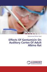 Effects Of Gentamicin On Auditory Cortex Of Adult Albino Rat