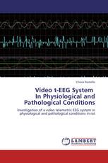 Video t-EEG System In Physiological and Pathological Conditions