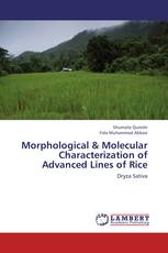 Morphological & Molecular Characterization of Advanced Lines of Rice