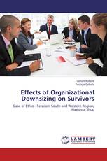 Effects of Organizational Downsizing on Survivors