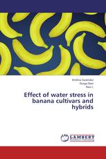 Effect of water stress in banana cultivars and hybrids