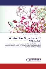 Anatomical Structures of the Limb