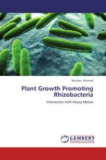 Plant Growth Promoting Rhizobacteria