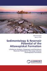 Sedimentology & Reservoir Potential of the Attawapiskat Formation