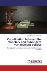 Coordination between the monetary and public debt management policies