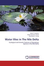 Water lilies in The Nile Delta