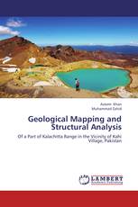 Geological Mapping and Structural Analysis