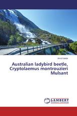 Australian ladybird beetle, Cryptolaemus montrouzieri Mulsant