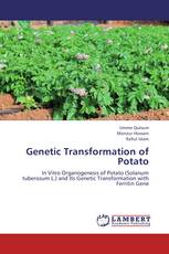Genetic Transformation of Potato