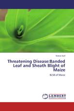 Threatening Disease:Banded Leaf and Sheath Blight of Maize