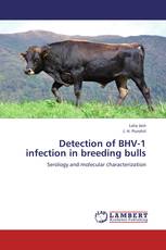 Detection of BHV-1 infection in breeding bulls