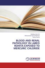 Blood and renal pathology in Labeo rohita exposed to mercuric chloride