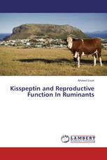 Kisspeptin and Reproductive Function In Ruminants