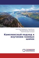 Комплексный подход к изучению газовых шапок