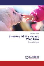 Structure Of The Hepatic Vena Cava