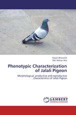 Phenotypic Characterization of Jalali Pigeon