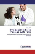 Cytological Studies in Plantago ovata Forsk