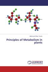 Principles of Metabolism in plants