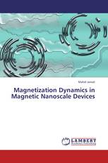 Magnetization Dynamics in Magnetic Nanoscale Devices