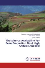 Phosphorus Availability For Bean Production On A High Altitude Andosol