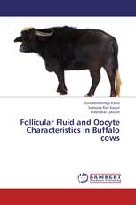 Follicular Fluid and Oocyte Characteristics in Buffalo cows
