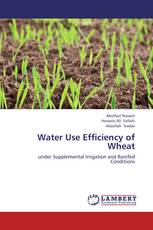 Water Use Efficiency of Wheat