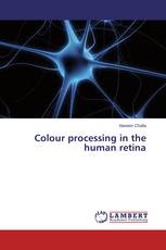 Colour processing in the human retina