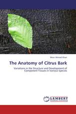 The Anatomy of Citrus Bark