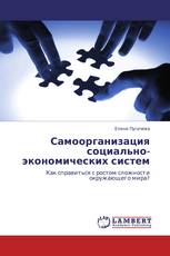 Самоорганизация социально-экономических систем