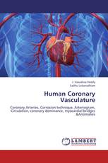Human Coronary Vasculature