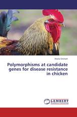 Polymorphisms at candidate genes for disease resistance in chicken