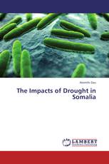 The Impacts of Drought in Somalia