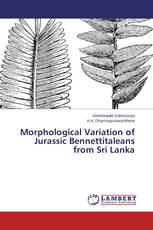 Morphological Variation of Jurassic Bennettitaleans from Sri Lanka