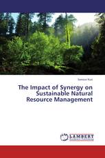 The Impact of Synergy on Sustainable Natural Resource Management
