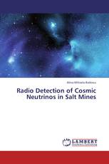 Radio Detection of Cosmic Neutrinos in Salt Mines