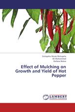 Effect of Mulching on Growth and Yield of Hot Pepper