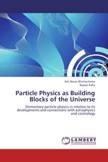 Particle Physics as Building Blocks of the Universe