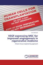 VEGF-expressing MSC for improved angiogenesis in regenerative medicine